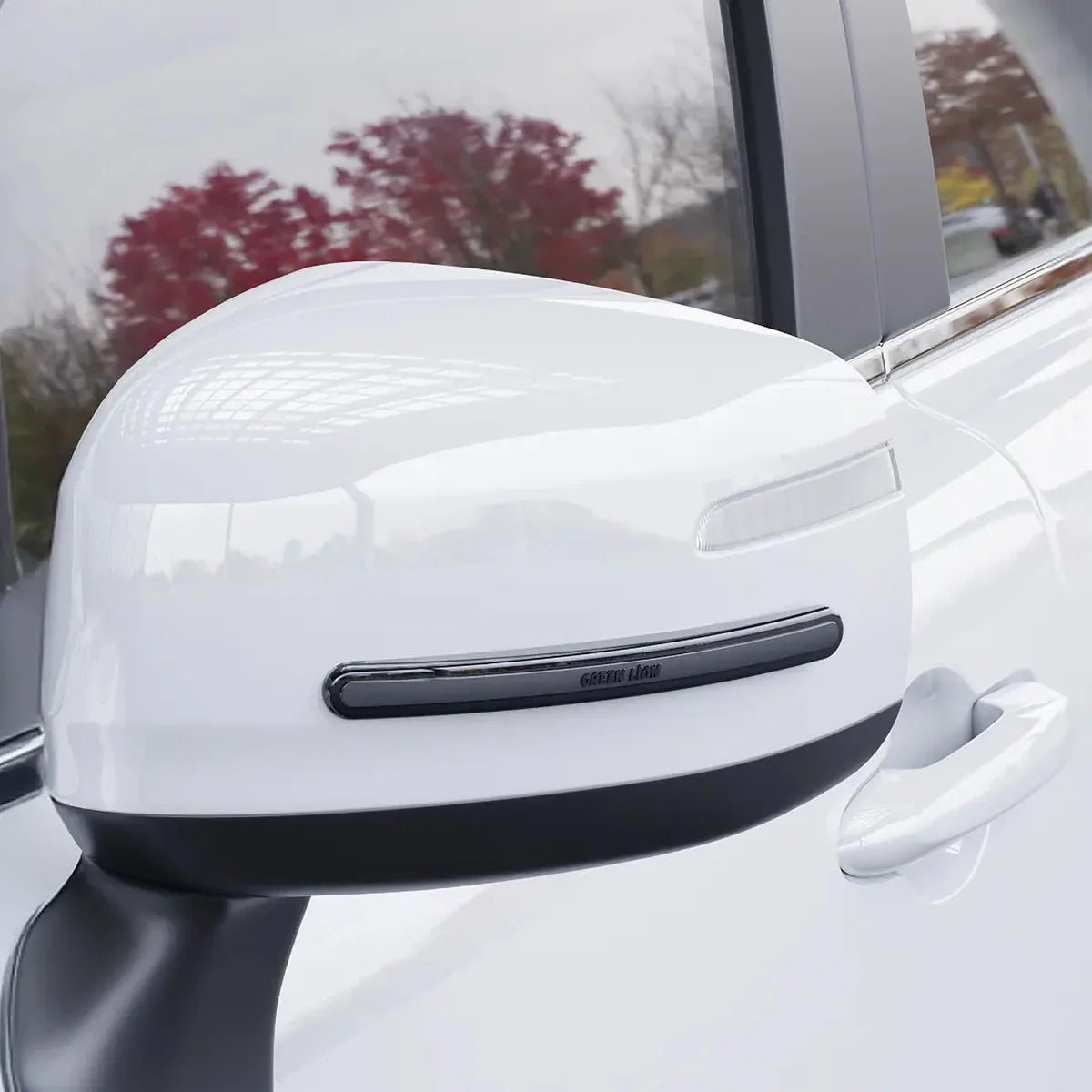 Green Lion Car Door Guard 4-Strip Pack - Black
