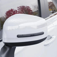 Green Lion Car Door Guard 4-Strip Pack - Black