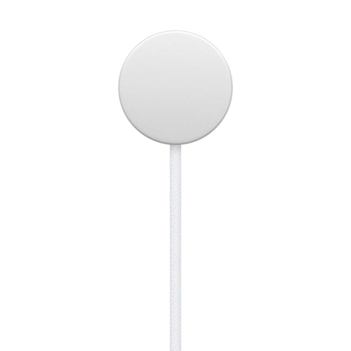 Apple Watch Magnetic Fast Charger To Usb-C Cable (1 M)